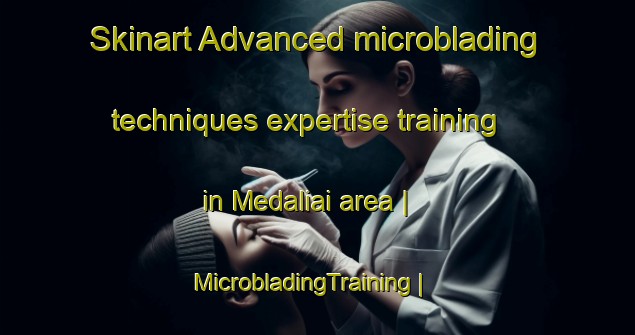 Skinart Advanced microblading techniques expertise training in Medaliai area | MicrobladingTraining | MicrobladingClasses | SkinartTraining-Lithuania
